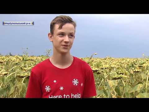 Розкопки поховання епохи Бронзи 2020 р. (сюжет ДTV) preview