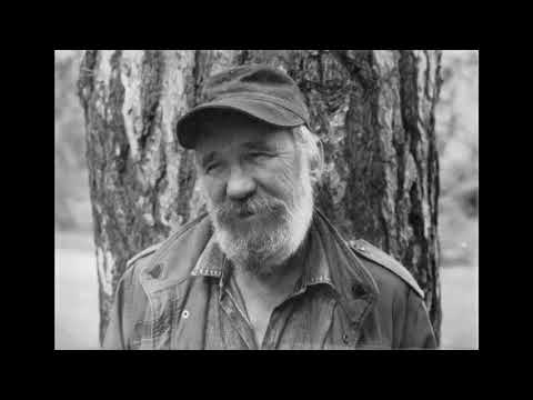 Wabi Ryvola - Čas divnejch písní (cover by Slayo)