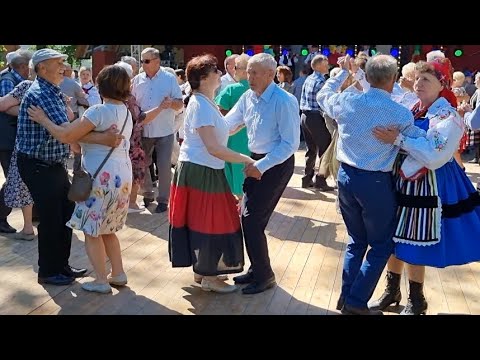 Ludowo i wesoło:Najlepsze pary oberkowe wirują obok siebie.Przysucha 5 06 2022r.