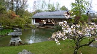 preview picture of video '20 Jaar Japanse Tuin Hasselt  -  The Japanese Garden  - Japanische Garten'