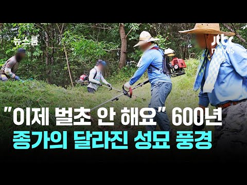 600년 된 안동 종가, 벌초 대신 새로운 방법으로 조상 기려요