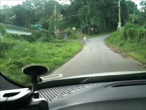 El Yunque Hike 21 DEC 2011