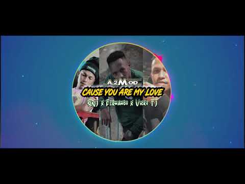 A.2M.OD _ Cause U Are My Love - SNJ x Fenando x Vicko Tj (Official MA) 2K21