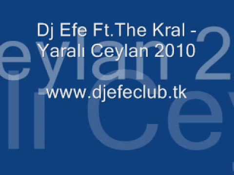 Dj Efe Ft .The Kral - Yaralı Ceylan 2010|www.djefe.org|www.djefe.ile.biz|www.djefeclub.tk|