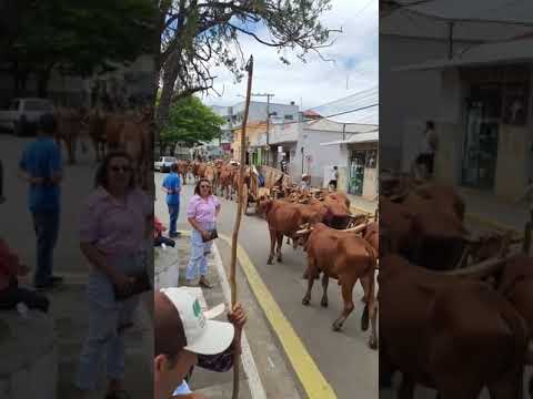 desfile de carros de boi em Cabo Verde Minas Gerais