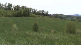 preview picture of video '54.9± Acres Alleghany County - Near New River (Acreage)'