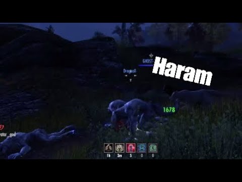 🐺 SPECIAL: UNKILLABLE WEREWOLF OUTNUMBERED PvP 🐺 *BROKEN* | ESO Stonethorn