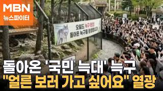 집 나갔던 늑구, 열흘 만에 세계적인 스타로…외신 1면까지 등장 - 뉴스파이터