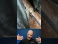 It Never Ends Ingrownhair Dermreacts Doctorreacts