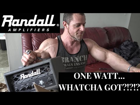 MY NEW AMP - YAY OR NAY?  RANDALL RD1H MULTIPLE SOUND TESTS