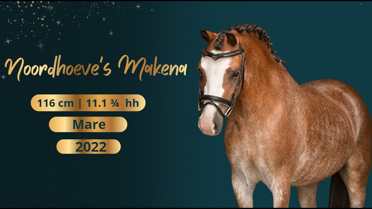 Noordhoeve's Makena video 1