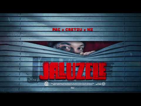 Pac ❌ Cretzu ❌ NZ - Jaluzele
