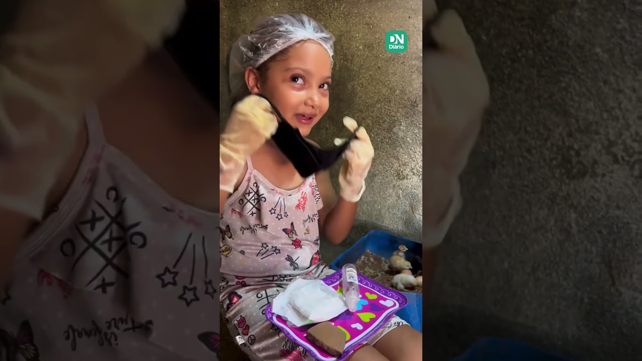 Imagem da notícia Menina viraliza ao fazer 'parto cesárea' para ajudar pintinho a nascer no interior do RN