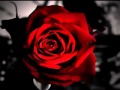 Sting - Desert Rose (Mat Zo Remix) 