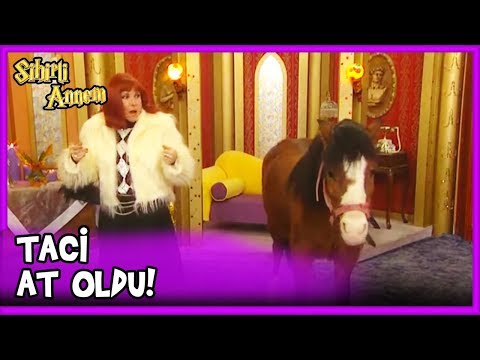Dudu, Taci'yi ATA Çevirdi! - Sihirli Annem 51. Bölüm