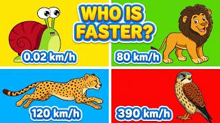 Which Animal is Faster? Animal Speed Comparison: From Slowest to Fastest Animals in the World