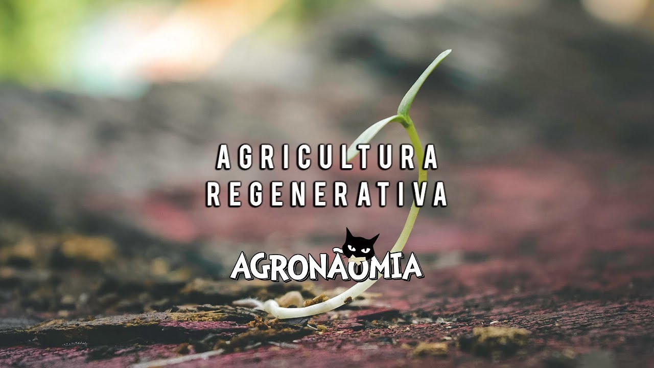 AGRICULTURA REGENERATIVA