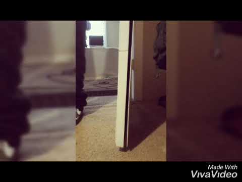 Izzy G × WhoRaizedYa