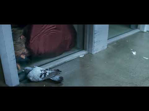 Thumbnail of the video: "Us Pigeons" Official Clip