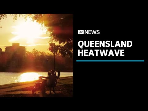 Summer finally arrives in Queensland with heatwave bringing 40-degree temperatures | ABC News