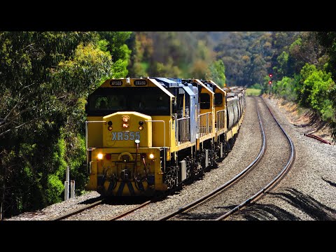9158 Up Pacific National grain train climbs Warrenheip bank with XR555 XR554 XR553 (10/12/22)