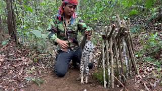 Wild man: Create Amazing Trap to Catch wild cat in the jungle