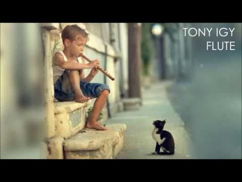 Tony Igy - Flute