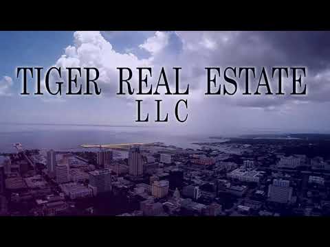 August 19th, The Trader's Edge with Steve Rhodes on TFNN - 2020