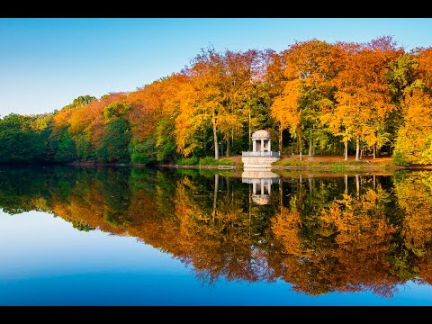 Tutorial 4: Die Challenge - Wie gut kennst du deine Kamera?