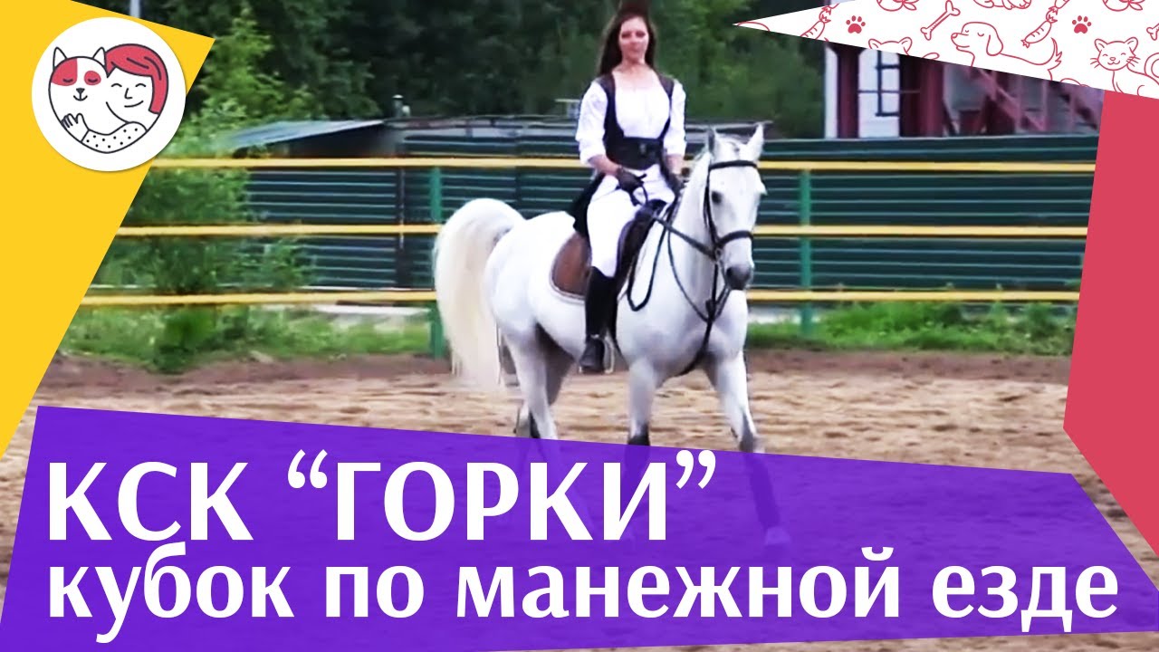 Летний кубок КСК Горки по манежной езде КЮР часть 21 на ilikepet