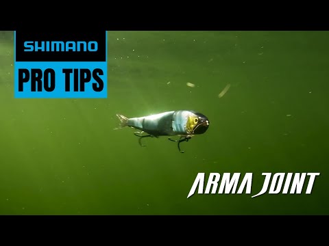 How To Fish a Swimbait: ARMAJOINT 190SS FLASH BOOST | Shimano Pro Tips