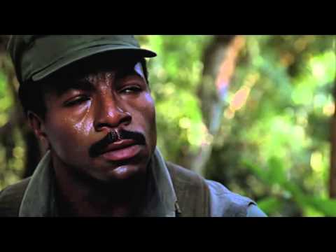 Wir werden hier alle sterben