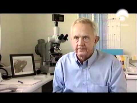 Los Origenes del Sida Parte 5