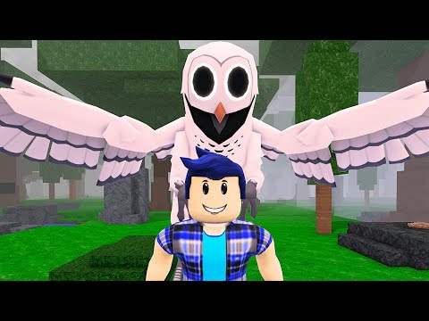 99 Nights in the Forest 🔦 Funny Moments (MEMES) #4