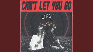 CAN'T LET YOU GO