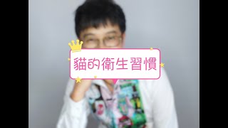 [問題/砂盆] 直立或側開貓砂盆