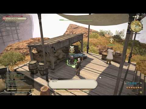 FFXIV ARR : Lv25 On to Little Ala  Mhigo - Walkthrough