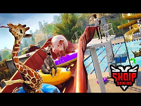Dhija, Derri dhe Gjirafa në Qytet !! - SHQIPGaming