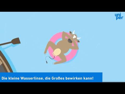 Die kleine Wasserlinse Lemna, die Großes bewirken kann!