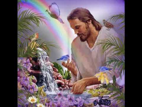 A CURA DA TERRA -  Padrinho José Ricardo