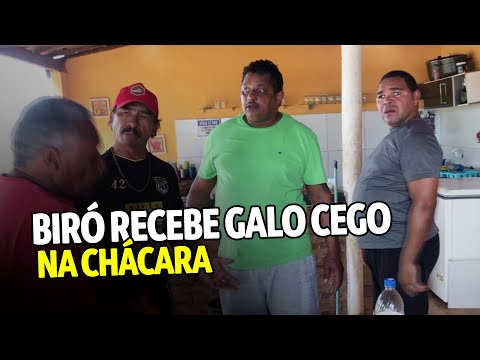 BIRÓ RECEBE GALO CEGO NA CHÁCARA. FOI MUÍDO COM DODÔ E ÍNDIO! | CANAL DO NEGO BIRÓ