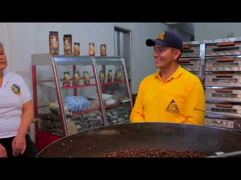 LAS AVENTURAS DEL PROFESOR YUARUMO: BRISAS DEL CAFE PAMPLONITA