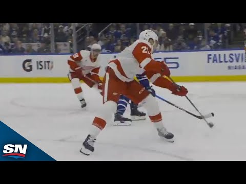 Red Wings' James van Riemsdyk Picks Up First Goal With Detroit