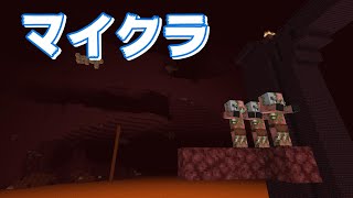 マインクラフト 番外編『湧き潰し』