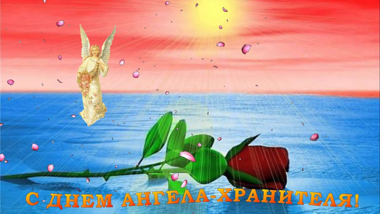Картинки анимашки у светланы