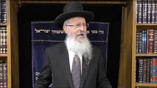 הרב הגאון אברהם יוסף שליט"א  כולם מודים שרואים את טובו של בורא עולם פרשת כי תשא תשפ"ו (הרב אברהם יוסף) - התמונה מוצגת ישירות מתוך אתר האינטרנט יוטיוב. זכויות היוצרים בתמונה שייכות ליוצרה. קישור קרדיט למקור התוכן נמצא בתוך דף הסרטון