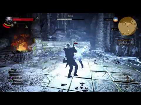 nithral(wild hunt warrior) fight in witcher 3