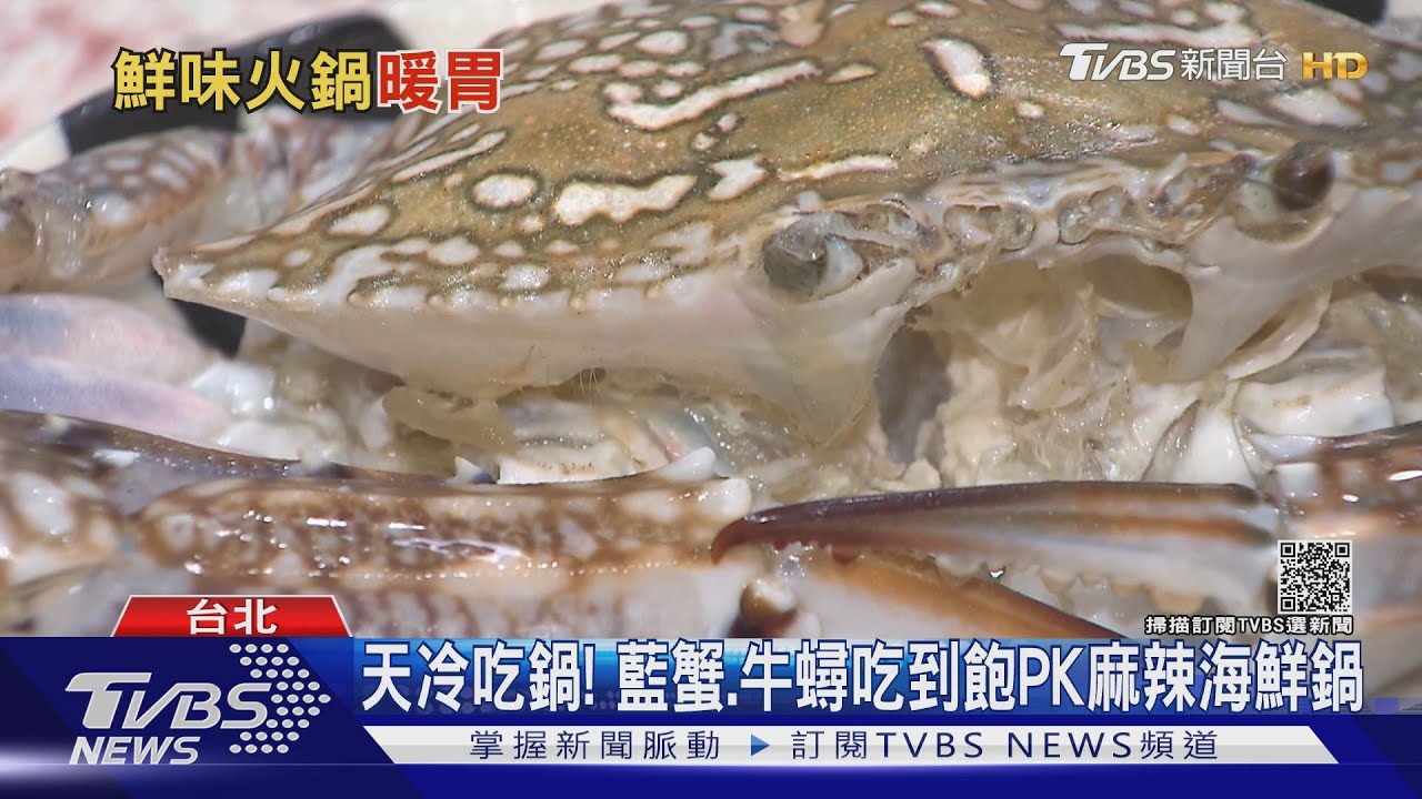 天冷吃鍋! 藍蟹、牛蟳吃到飽PK麻辣海鮮鍋