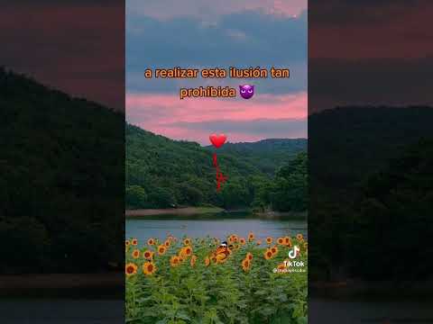 Mi Ironía-Los Bukis