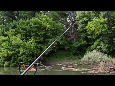 Latorca-Latorica feeder horgászat